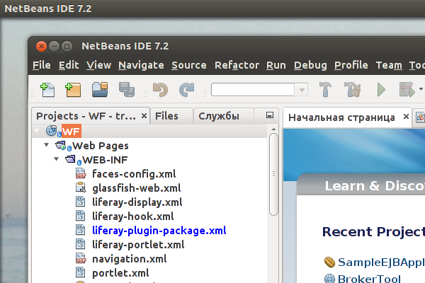 Интерфейс NetBeans с изменённой темой GTK