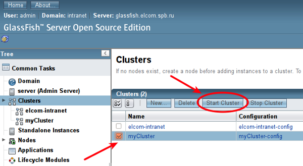 Запуск кластера