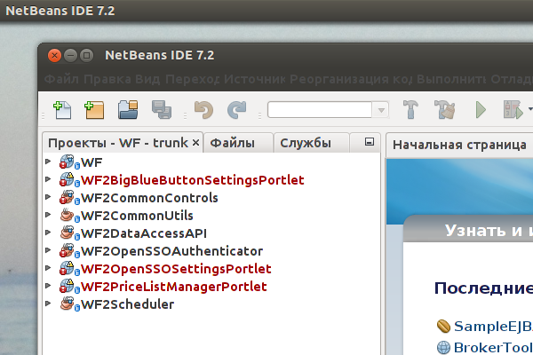 Так выглядит меню NetBeans в Ubuntu 12.04 сразу после установки