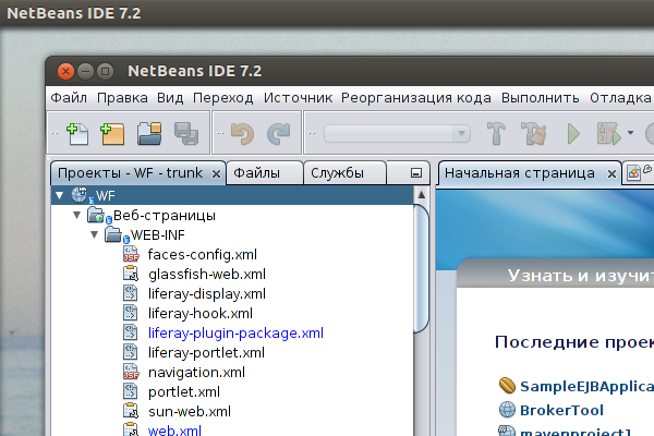 Интерфейс NetBeans с темой Nimbus